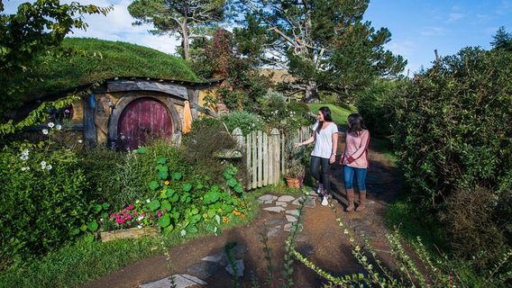 AucklandTours