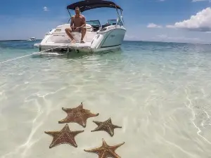 Private, luxury, custom charters to Stingray City, Snorkeling & More