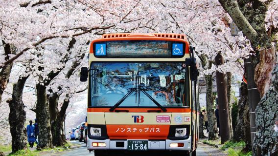 ตั๋วโดยสารรถบัสอิสระโทไก "อิซุโคเง็ง · คิโนะซากิ 1 วัน/2 วัน"