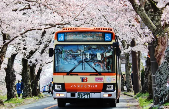【東海巴士】自由暢乘通行證「伊豆高原・城崎1日」丨可到大室山、城崎海岸等伊豆高原區域