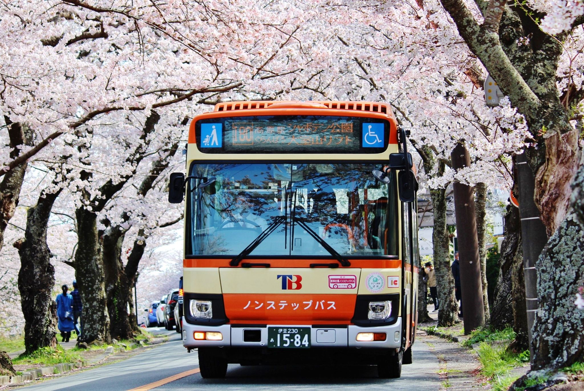 동해 버스 자유이용권 "이토·이즈 고원 2일권"