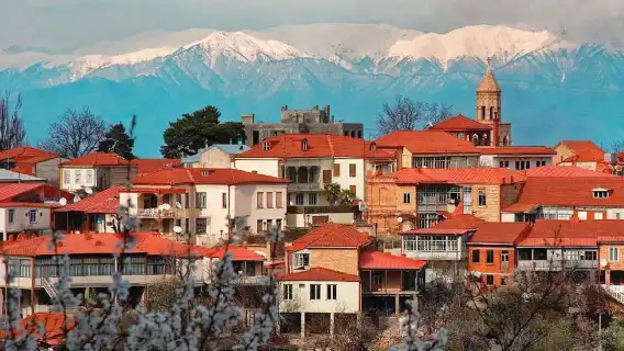 Georgia Sighnaghi Wine one-day tour| 1 person can be booked | Tbilisi round Round-trip