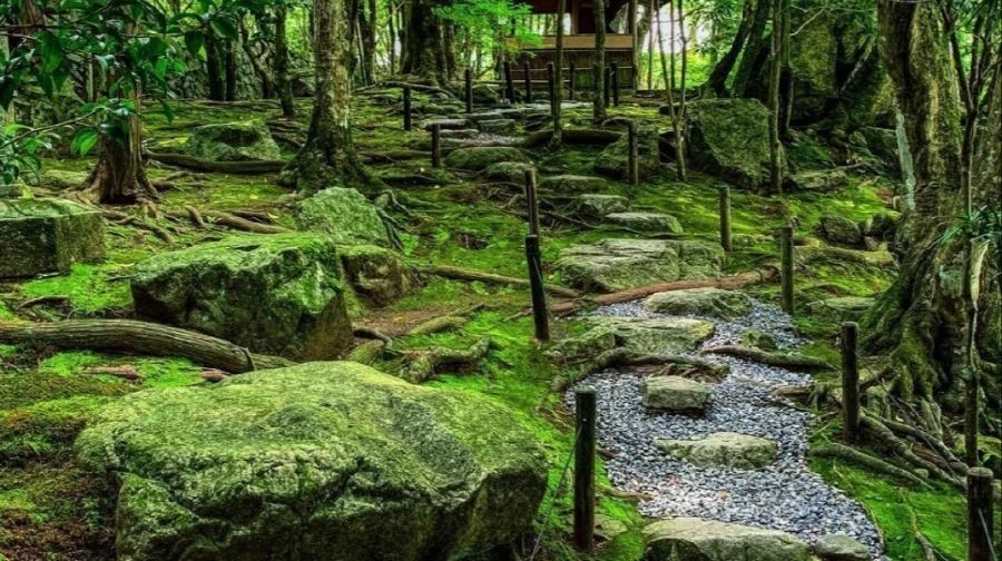 日本滋賀縣琵琶湖一日遊