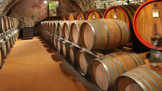 Chianti-Region: Tagesausflug ab Florenz + Besuch eines Weinguts