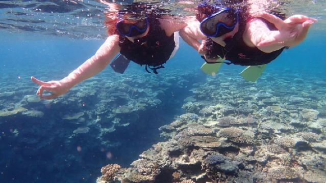 日本石垣青之洞窟體驗潛水浮潛3小時【【ADVENTURE PiPi 石垣島】【半日】青之洞窟浮潛探險,或遇海龜】