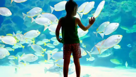 Lanzarote Aquarium: Skip The Line Ticket