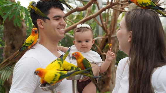 Excursión de un día a la isla de Nami y al parque temático Edelweiss de Gapyeong (salida desde Seúl, guía en inglés y chino)