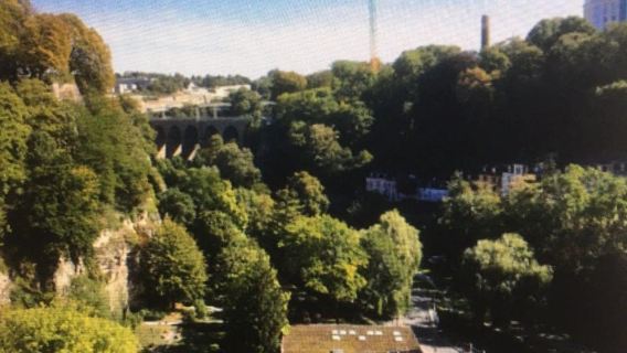 盧森堡+盧森堡大公宮+阿道夫橋一日遊/行程可調-普通話專車