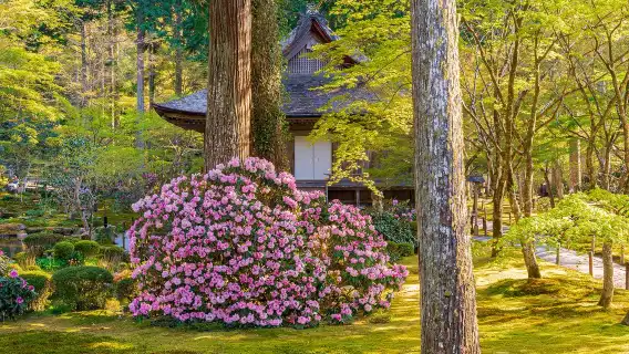 日本京都嵐山+三千院+貴船神社一日遊【可選9人精品小團/可選酒店上門接送 中文司導 純玩無購物】