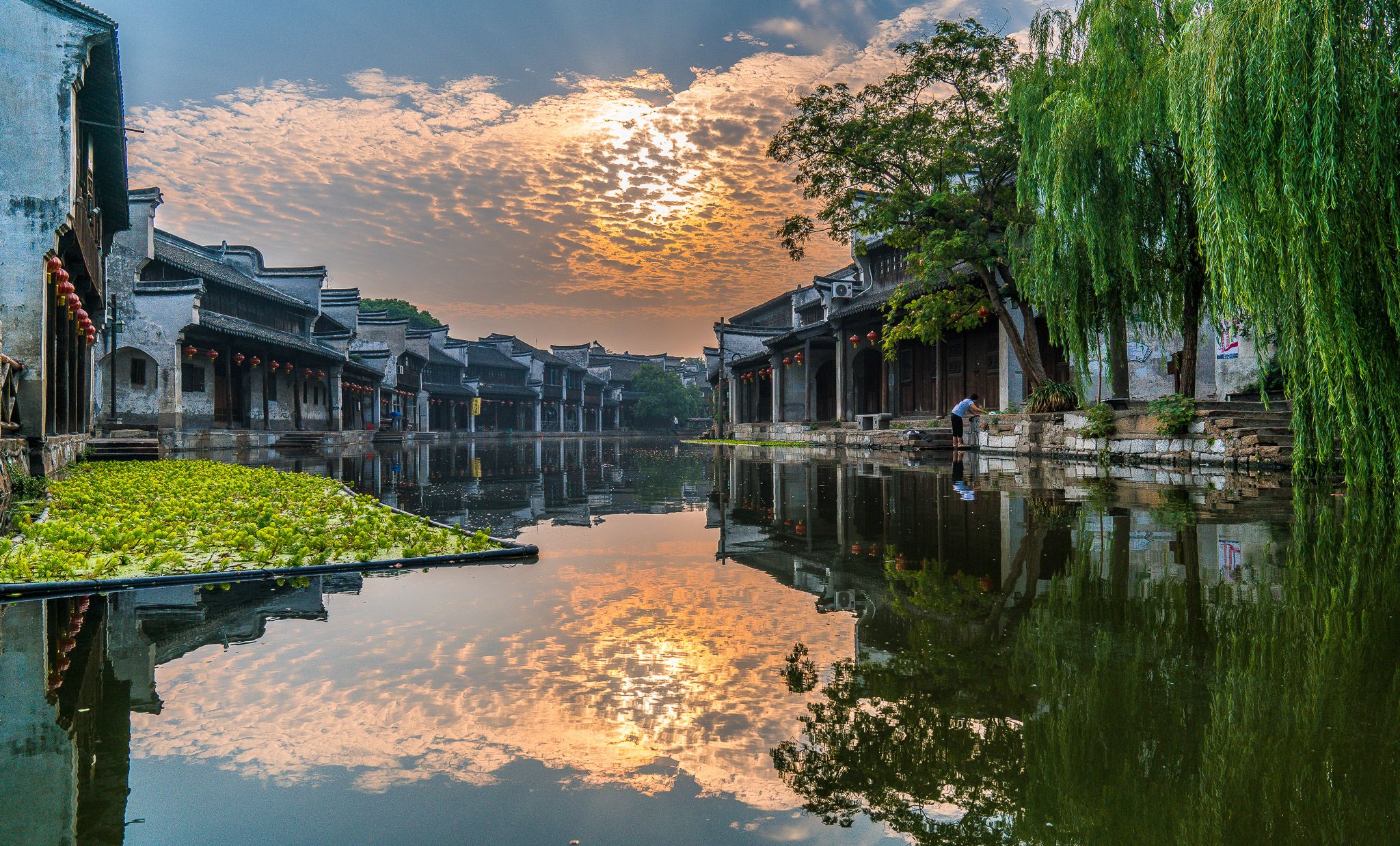 Best of Jiangnan: Wuzhen & Nanxun Water Village Tour from Shanghai
