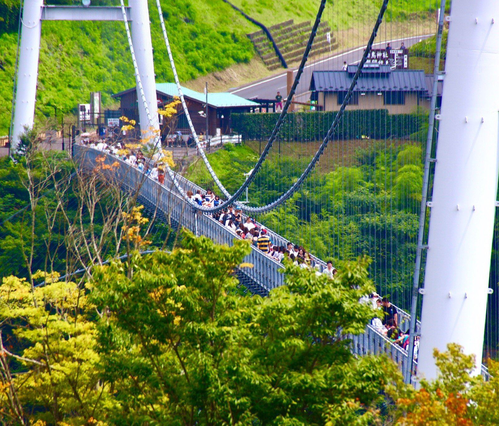 日本定制出遊（九重『夢』大吊橋-宇佐神宮-太宰府天滿）一日遊