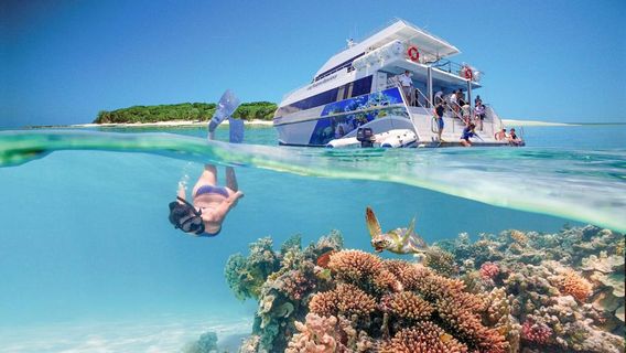 Green IslandTours