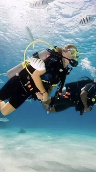 Boracay Diving (Experience or Fun Dive) 2 choices to enjoy tropical fish and corals