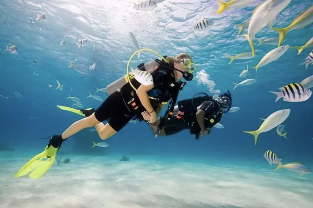 Boracay Diving (Experience or Fun Dive) 2 choices to enjoy tropical fish and corals