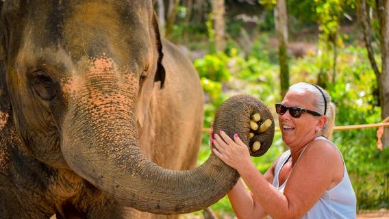 Phuket : Vivez et rencontrez le Gentle Giant ! Expérience unique