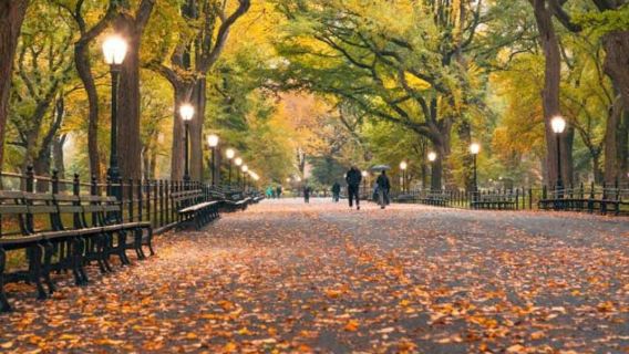 NYC: Geführter Rundgang durch den Central Park Zoo und Central Park