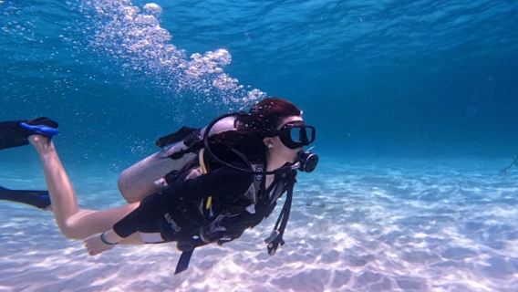 大連東港水城+潛水+帆船出海【贈送下午茶】海底大峽谷一日遊