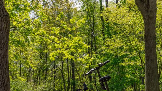 Quebec City: Montmorency Falls and Microbrewery eBike Tour