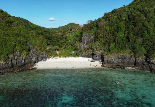Phi Phi: Guided Jungle Trek & Night Swim with Plankton