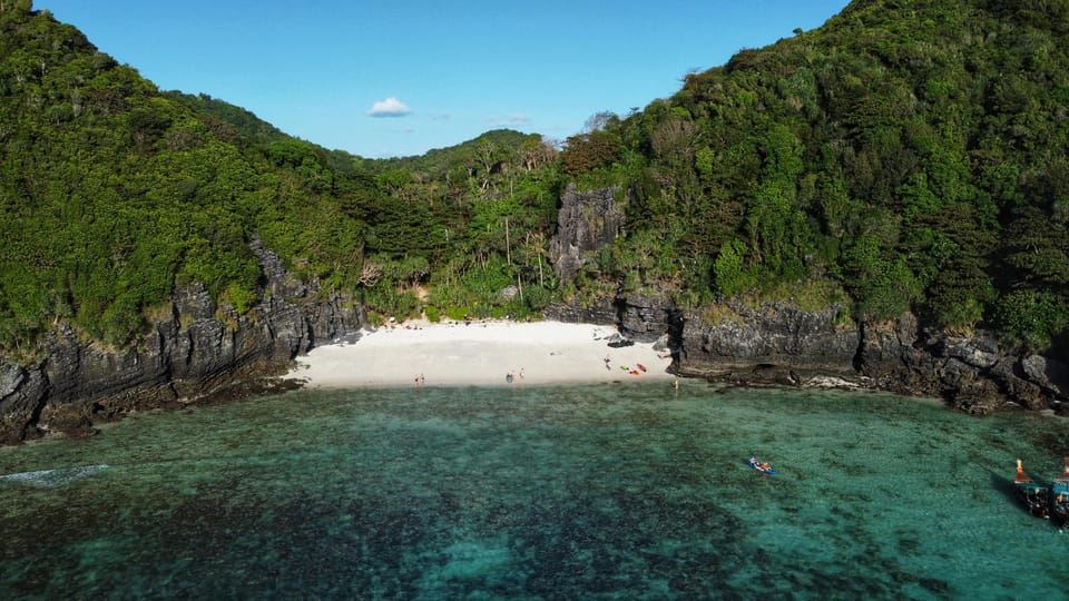 Phi Phi : randonnée guidée dans la jungle et nage nocturne avec le plancton