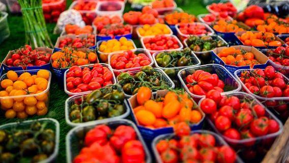 Roma: Recorrido gastronómico por el centro histórico con más de 8 degustaciones