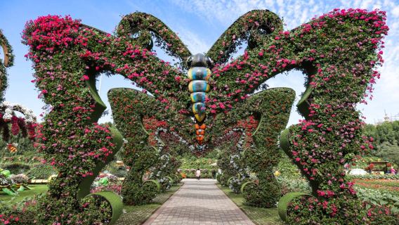 Tour por el Jardín de las Mariposas de Dubái con traslados privados