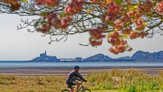 Cardiff: Gower Peninsula's Cliffs Scenic Day Tour