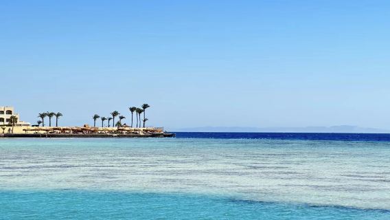 Hurghada and Red Sea diving 1-day tour[Meals, boat ticket, Instructor, and Hotel Transfers Included]