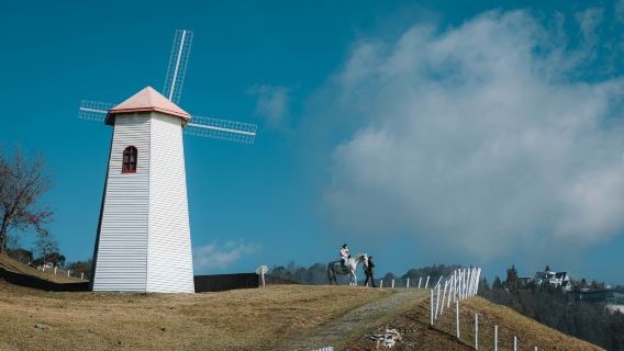 Excursion d'une journée de 8 heures à Taichung : Lac Sun Moon et zone humide de Gaomei avec itinéraire personnalisé (départ de Taichung)