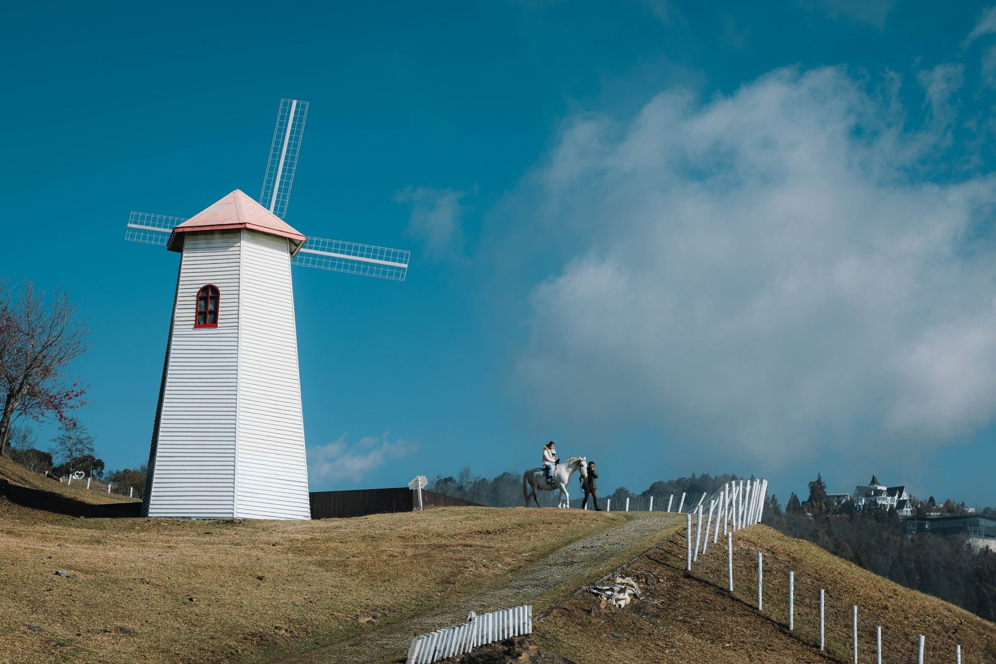Tour di un giorno di 8 ore a Taichung, Lago Sun Moon e Wetland di Gaomei: itinerario personalizzato (partenza da Taichung)