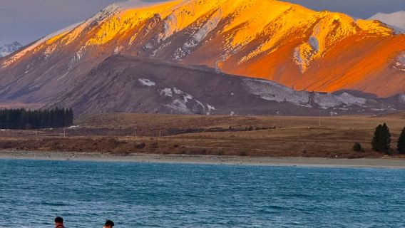 紐西蘭基督城來回蒂卡波湖-好牧羊人教堂包車-精選行程
