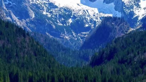 維也納+哈爾施塔特+戈紹10小時包車遊【走進夢幻童話小鎮】