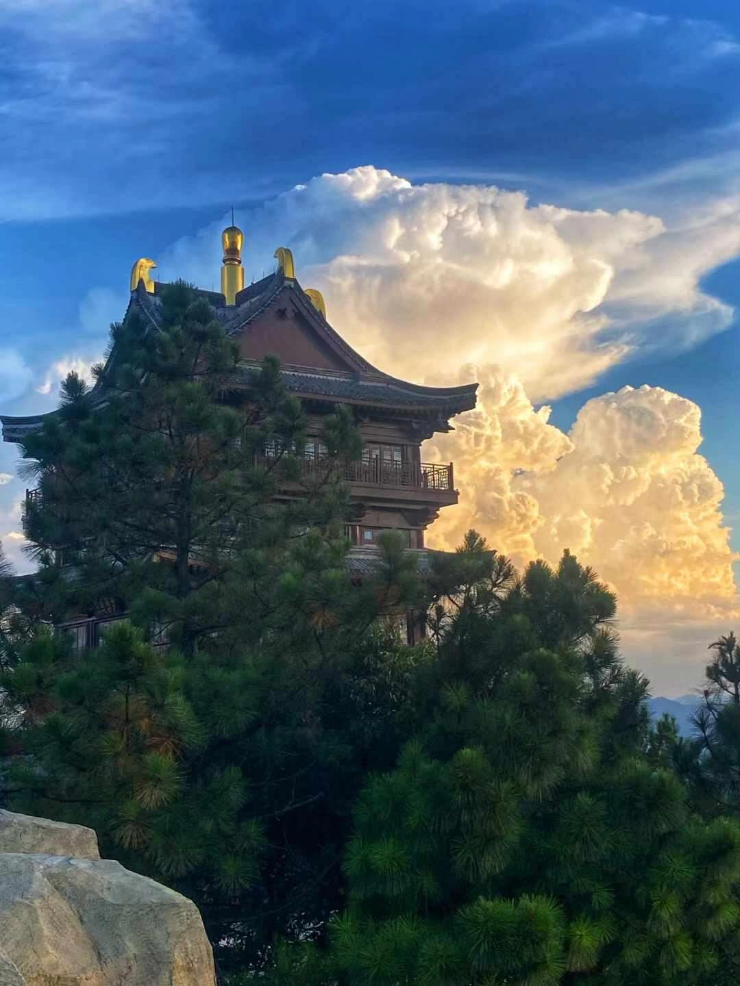 浙江金華全域：プロフェッショナルガイド/通訳/現地アテンド/ルートカスタマイズ/チームビルディング/会議イベント/ビジネス接待/カスタムツアー