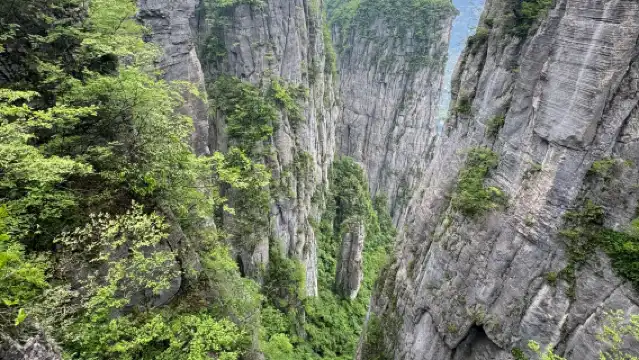 恩施大峽谷+七星寨+雲龍地縫【2~8人獨立團／上門接送】