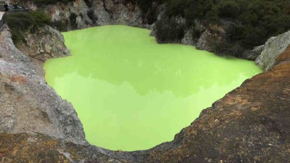 紐西蘭奧克蘭一日遊