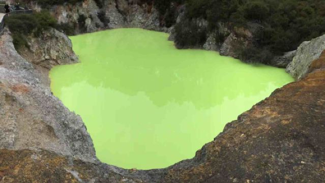 New Zealand Auckland 1-day tour