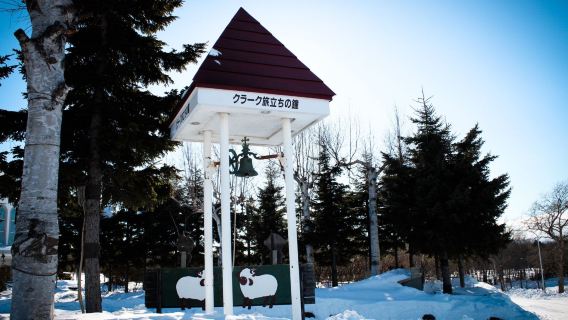 北海道中文包車一日遊/旭山動物園+美瑛聖誕樹+青池+白鬚瀑布