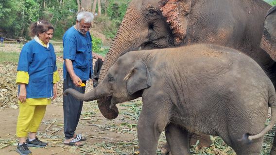 Chiang Mai Living Green Elephant Sanctuary and Doi Inthanon Hiking Day Tour