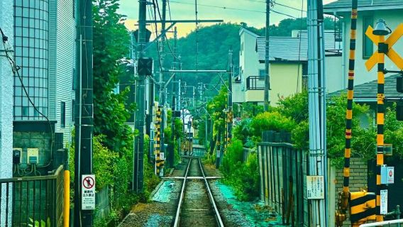 日本東京/箱根/橫濱/鐮倉/山/任選關東一日包車-諮詢立減