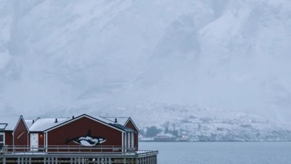 挪威斯沃爾維爾-羅弗敦-哈姆諾伊-斯卡里斯科亞/拼包車-精選