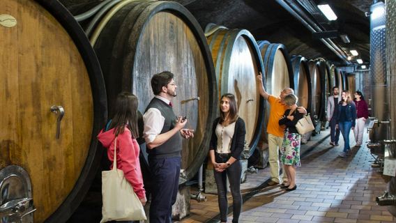 Аббатство Клостернойбург: винно-дегустационная экскурсия из Вены на электровелосипеде.