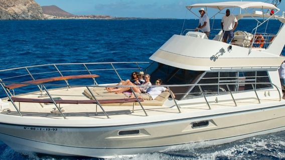 洛斯克里斯蒂亞諾斯：遊艇導覽遊 + 賞鯨 + 午餐