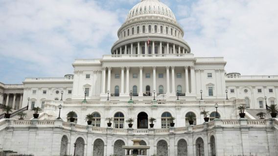 Tour di 1 giorno a Washington DC da New York