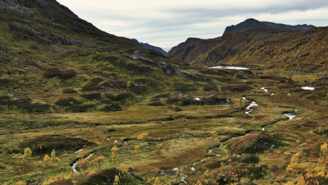 挪威斯沃爾韋爾-奧鎮-羅弗敦羣島一日遊【專車出行-愜意舒適】