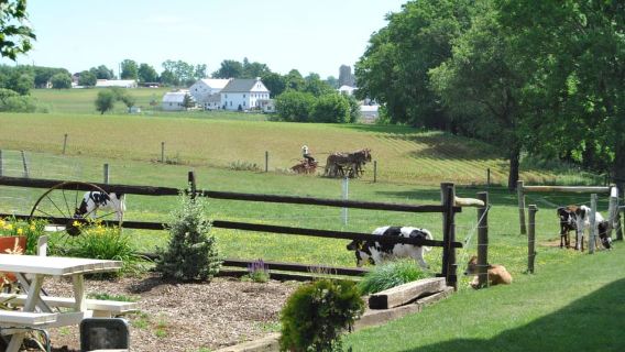 Lancaster: Amish Experience Visit-in-Person Tour 3 Stops