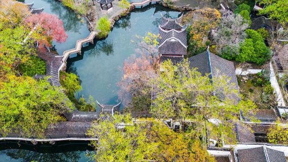 [Panduan Wisata Grup] Perjalanan Satu Hari dengan Pemandu Wisata Bahasa Mandarin/Inggris ke Taman Humble Administrator + Hutan Singa + Taman Ou + Jalan Pingjiang