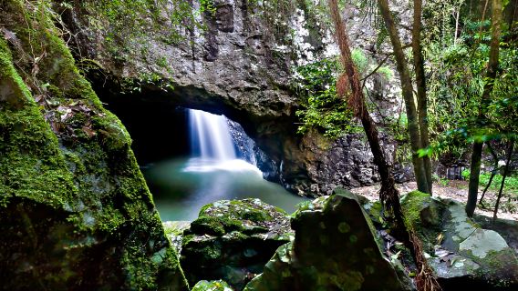 Excursión al Puente Natural y las Cataratas de Springbrook