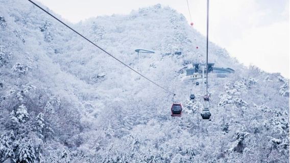 Nami Island X Chuncheon Samaksan Cable Car X Gapyeong Rail Bike