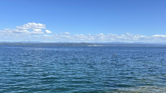 紐西蘭奧克蘭-哈嘿-教堂灣-熱水海灘【中文專車-愜意舒適】