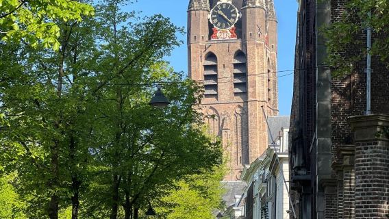 Netherlands 1-day tour: Royal Delft Blue Pottery Factory + Nieuwe Kerk + Vermeer's House